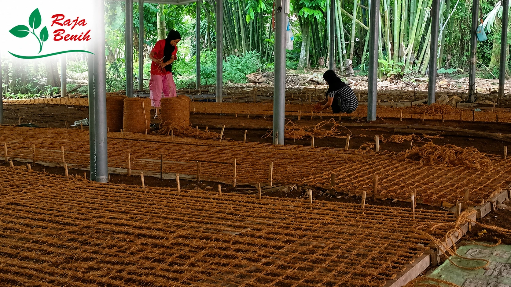 Pemasangan Cocomesh di Lahan Miring, Ini Tahapan yang Perlu Diperhatikan